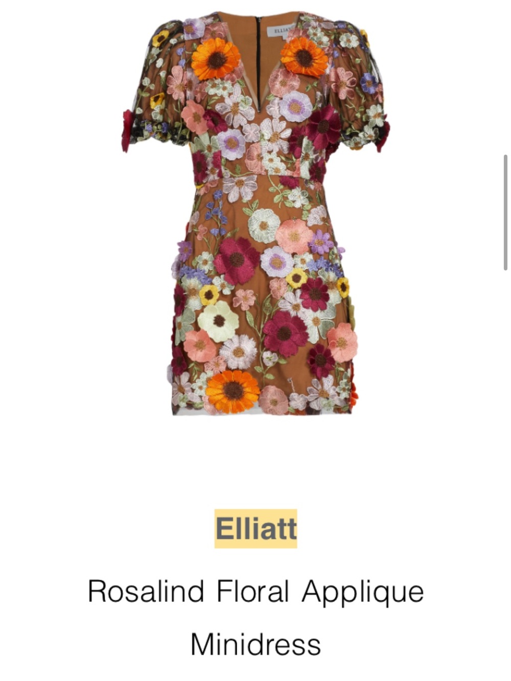 Elliatt Rosalind Floral Appliqué Minidress